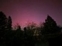 Autor: Jakub Veselý - Polární záře 12. 11. 2025 ze Sloupnice kolem 5:10 SEČ mobilním telefonem