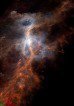 Herschelův Orion