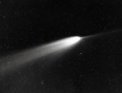 Autor: Palomar Observatory - Kométa C/1956 R1 (Arend-Roland)