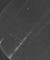Autor: Astronomický ústav AV ČR - Spektrum meteoru zaznamenané přístroji ASU. Meteor samotný je patrný v pravém horním rohu zorného pole, od něhož diagonálně doleva dolů míří pás zaznamenaného spektra. Dobře jsou patrné některé jasné emisní spektrální čáry. Přibližně ve spodní třetině spektra je dobře patrný difúzní „výběžek“ kolmo na pás spektra. Jde o zelenou čáru atmosférického kyslíku.