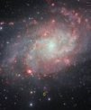 Autor: ESO/VST/Omegacam Local Group Survey - Romanova hvězda GR 290 na snímku galaxie M 33 pořízeném při přehlídkovém projektu dalekohledy VLT. Romanova hvězda je uprostřed žlutého kroužku ve spodní části od středu galaxie.
