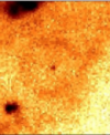 Hvězdné pole hvězdy Wray 15-906 v různých spektrálních oborech. Nahoře zleva infračervená pozorování z družice Herschel na vlnových délkách 160 a 70 mikrometrů a z družice WISE s filtrem na 22 mikrometrech. Dole zleva WISE s filtrem na 12 mikrometrech, snímek z přehlídky 2MASS ve filtru K (okolo  2,2 mikrometru) a konečně snímek z přehlídky SuperCOSMOS H-alpha Survey v červené oblasti kolem čáry Hα, filtr ale obsahuje i příspěvek zakázané čáry ionizovaného dusíku.