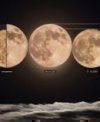 Autor: Zdeněk Bardon - Porovnání velikosti Měsíce v největším přiblížení a největší vzdálenosti od Země