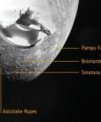 Snímek Merkuru pořízený inženýrskou kamerou sondy BepiColombo při prvním průletu kolem Merkuru 1. 10. 2021