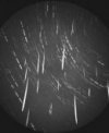 Autor: Astronomický ústav AV ČR - Složený snímek zachycující 23 Geminid zaznamenaných během 40 minut automatickou videokamerou na hvězdárně v Kunžaku 13. prosince 2017