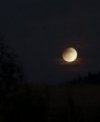 Autor: Martin Gembec - Začátek zatmění Měsíce nízko nad obzorem 7. 9. 2006
