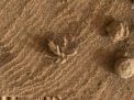 Kámen ve tvaru květiny na Marsu