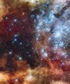 Autor: © NASA/ESA - Hvězdokupa R136 uprostřed mlhoviny Tarantula v souhvězdí Mečouna na jižní obloze. Hmotné hvězdy zjevně v mlhovině vytvořily dutinu, která vznikla působením větrů a záření těchto hvězd.