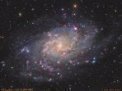 Autor: Martin Myslivec - Galaxie M33 v Trojúhelníku je členem tzv. Místní skupiny galaxií společně se známou M31 v Andromedě. Je vzdálena asi 2,73 milionů světelných roků. Mlhovina NGC 604 je výrazný červený oblak v horním rameni pod dvěma oranžovými hvězdami.