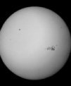 Autor: Martin Gembec - Slunce 9. 5. 2024 v 10:56 SELČ. Snímek mobilem za okulárem dalekohledu upraveného pro bezpečné pozorování Slunce (Vixen 81S a Herschelův hranol). Skupina skvrn v aktivní oblasti AR13664 je jedna z největších v historii pozorování Slunce.