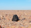 Autor: P. Jenniskens, SETI Institute - Jeden z meteoritů v Súdánu.