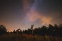 Autor: Jihlavská astronomická společnost - Astronomický tábor 2017: astrofotografická skupina