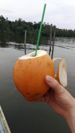 Královský kokos Autor: Ota Kéhar