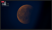 Částečně ztemnělý Měsíc se blíží za rozbřesku v LA k obzoru. Autor: Griffithova observatoř.