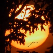 Západ Slunce s Merkurem 9. května 2016 mezi stromy. Autor: Petr Horálek.