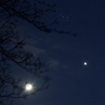 Měsíc, Venuše a Plejády na večerní obloze Autor: Antonín Hušek