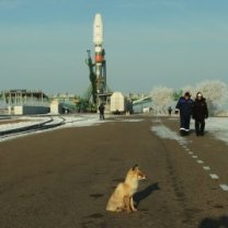Sojuz-2.1b s Progressem a modulem Pričal je připravován ke startu na kosmodromu Bajkonur Autor: Roskosmos