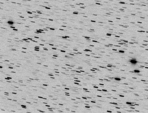 Negativní snímek komety 218P/LINEAR od Michaela Jägera Autor: Michael Jäger