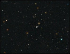 Fotka komety C/2013 US10 (Catalina) od Damiana Peache Autor: Damian Peach