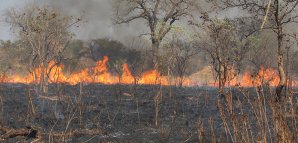 Lesní požáry v jižní Africe v září 2014, první opravdové nasazení dat sondy Suomi Autor: NASA