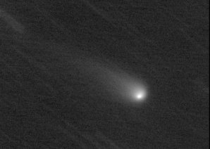Kometa C/2013 X1 (PanSTARRS) na fotografii od Adriana Valvasoriho Autor: Adriano Valvasori