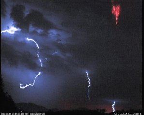 Složený snímek z několika blízkých troposferických blesků a mezosferického Red sprites. Autor: Martin Popek