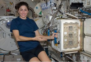 Astronautka Nicole Stott pracuje se zařízením, ve kterém jsou chovány pokusné myšky (2009) Autor: NASA