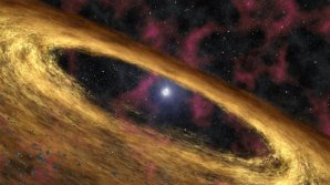 Předpokládaný prachový disk v okolí neutronové hvězdy Autor: NASA