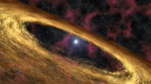 Předpokládaný prachový disk v okolí neutronové hvězdy Autor: NASA