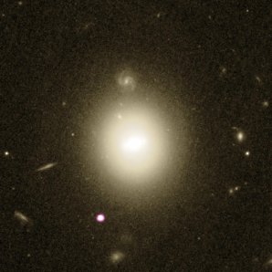 Snímek byl pořízen pomocí Hubbleova kosmického teleskopu HST (žluto-bílá barva) a pomocí rentgenové observatoře NASA s názvem Chandra X-ray Observatory (fialové zbarvení). Fialovo-bílý zdroj vlevo dole představuje rentgenovou emisi pozůstatku hvězdy, která byla roztrhána černou dírou střední velikosti. Uprostřed snímku se nachází mateřská galaxie černé díry. Autor: NASA/ESA/STScI