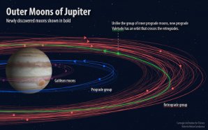 Tučně jsou znázorněny dráhy 12 nově objevených měsíců planety Jupiter Autor: Carnegie Institution for Science