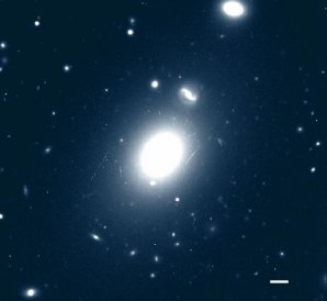 Eliptická galaxie Holmberg 15A vzdálená od Země 700 miliónů světelných roků Autor: Juan P. Madrid & Carlos J. Donzelli, doi: 10.3847/0004-637X/819/1/50