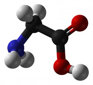 Model molekuly glycinu Autor: Public Domain