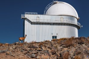 Budova dalekohledu E152 a svobodná lama guanko. ESO, La Silla, Chile Autor: Zdeněk Bardon