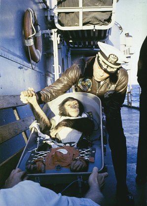 Šimpanz Ham po návratu Autor: NASA