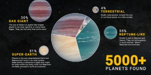 Rozdělení objevených exoplanet na jednotlivé základní typy Autor: NASA/JPL-Caltech