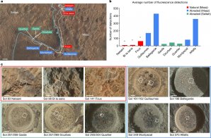 Přehled analyzovaných cílů. A: Mapa zobrazující polohy analyzovaných cílů, bíle je vykreslena trasa roveru Perseverance. B: Počet detekcí pro každý cíl. C: Fotografie vzorků pořízené kamerou WATSON. (červeně jsou označena místa, kde byla objevena organická hmota přímo na povrchu, u ostatních cílů byla organická hmota nalezena pod povrchem s použitím vrtáku.) Zdroj: Nature Autor: Nature