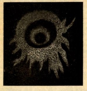 Údajná mlhovina ze souhvězdí Velkého lva. Autor: Říše Hvězd