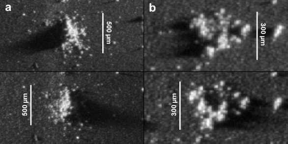 Prach na kometě 67P Churyumov-Gerasimenko Autor: ESA