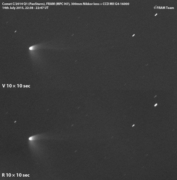 Kometa C/2014 Q1 (PanSTARRS) z robotického dalekohledu FRAM Autor: FRAM/Gloria, Martin Mašek