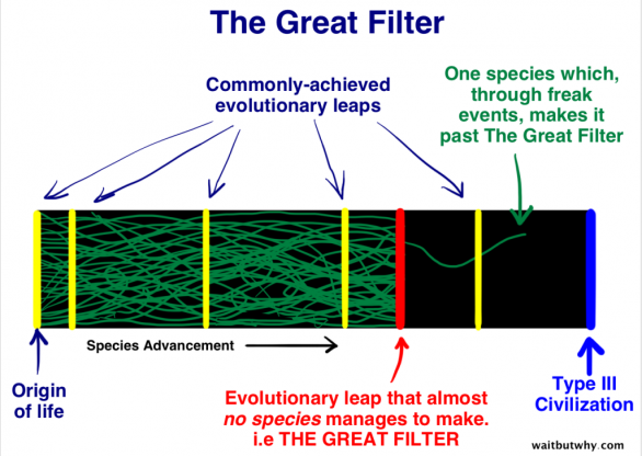 Velký filtr – (modře) Počátek života / (modře) Často dosahované evoluční skoky. (červeně) Evoluční skok, přes který se nedostanou skoro žádné druhy, tzv. VELKÝ FILTR. (zeleně) Jeden druh, který se za nějakých šílených událostí dostal přes Velký Filtr (modře) civilizáce Typu III Autor: waitbutwhy.com