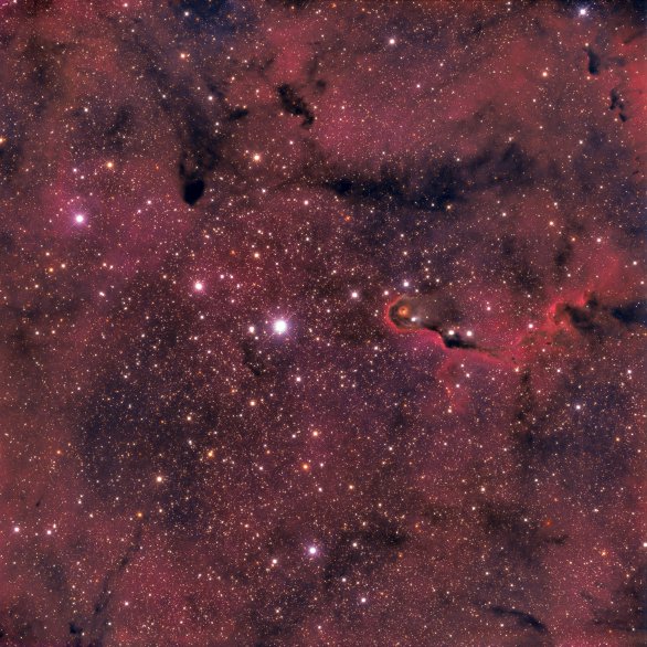 IC1396 s výraznou temnou mlhovinou nazýváno „Sloní chobot“. Autor: Pavel Cagaš a Martin Myslivec