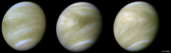 Venuše v nepravých barvách ze snímků v UV záření Autor: NASA/JPL/Ricardo Nunes