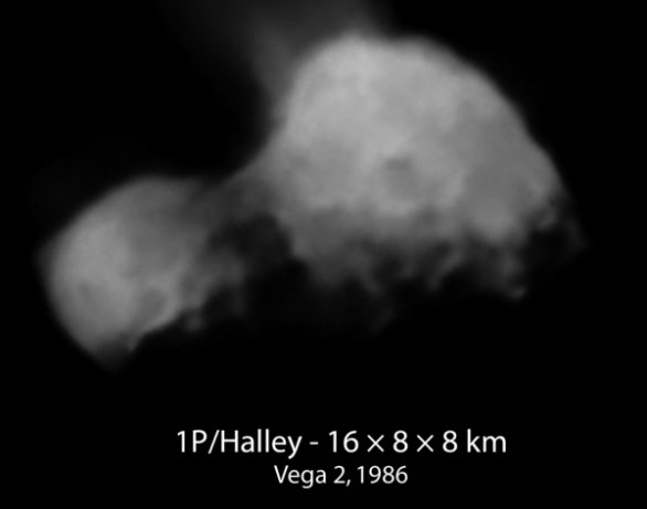 Jádro Halleyovy komety ze sondy Vega 2 Autor: Ruská akademie věd/Ted Stryk