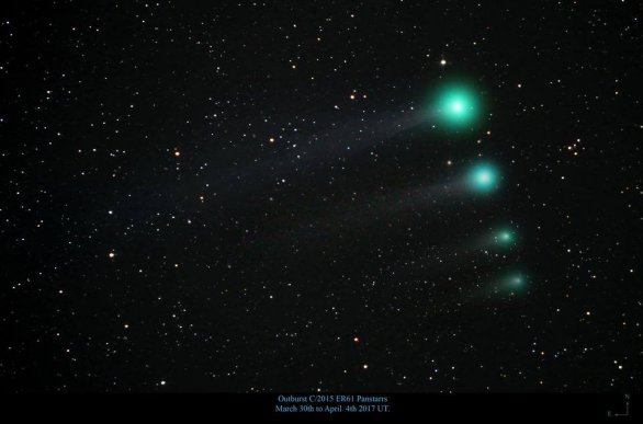 Vývoj komety C/2015 ER61 (PanSTARRS) v prvních dubnových dnech Autor: Justin Tilbrook