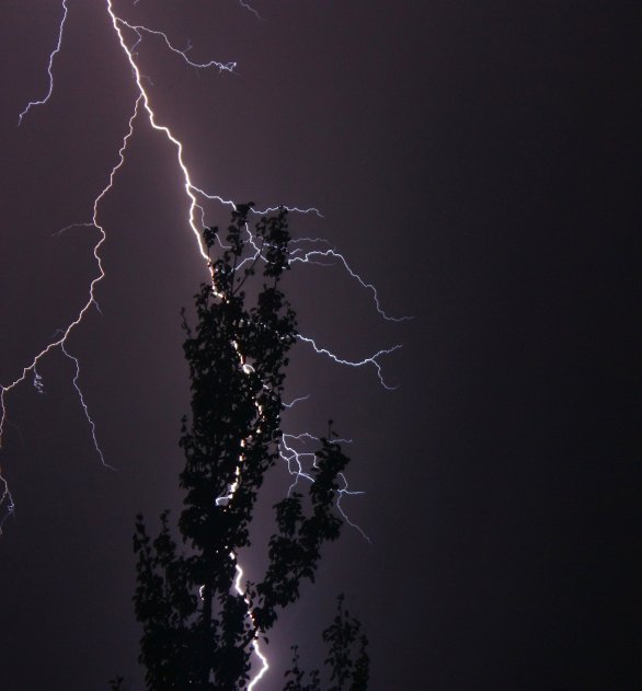 První místo v kategorii Cena Regionu v soutěži Neklidné nebe: Za stromem. Autor: Jindřich Frynta.