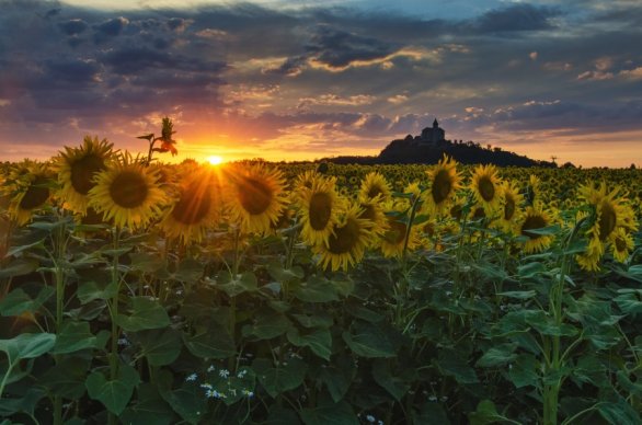 Celým mým vesmírem je můj kraj. Autor: Miroslava Schärfnerová