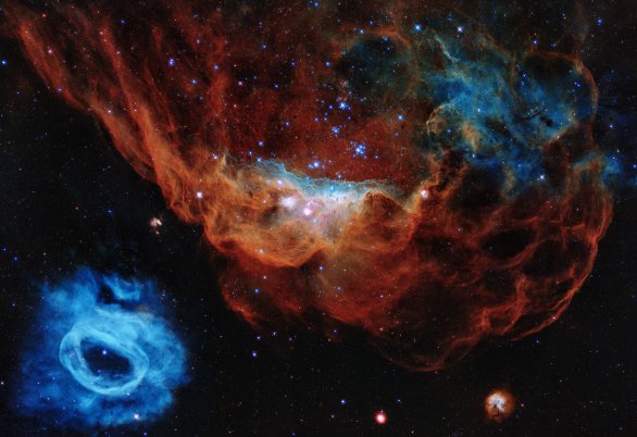 Portrét velké mlhoviny NGC 2014 a její blízké NGC 2020 k 30. výročí HST Autor: NASA, ESA, and STScI