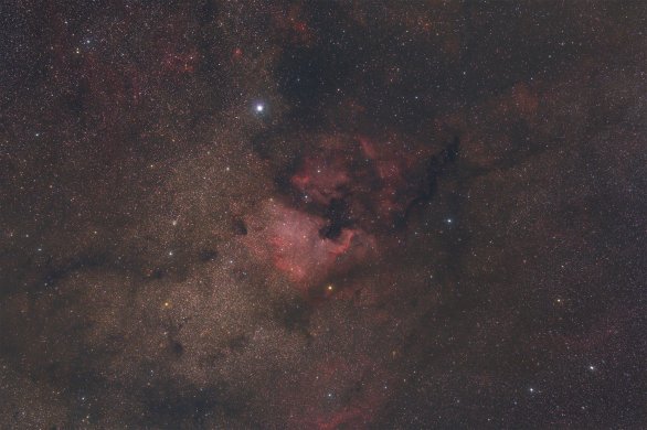 Fotografie mlhoviny Severní Amerika (NGC 7000) od Jakuba Pelce ze skupiny Digitální astrofotografie. Autor: Jakub Pelc