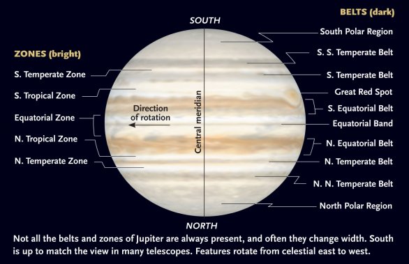 Kresba Jupiteru, na které vidíme střídání tmavých a světlých pásů na povrchu Jupiteru. Světlé zóny jsou chladnější oblasti, kde se díváme na vrchní stranu čpavkových oblak. Tmavší pásy jsou teplejší oblasti Autor: Sky&Telescope